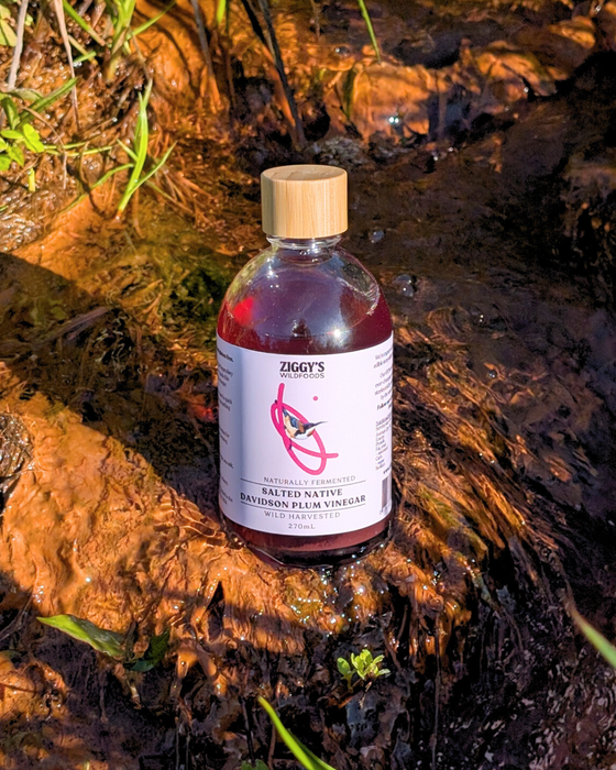 Salted Native Davidson Plum Vinegar
