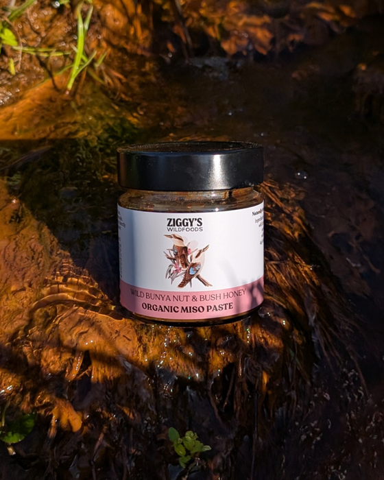 Wild Bunya Nut & Honey Miso