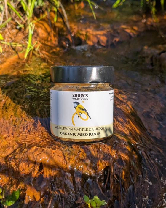 Wild Lemon Myrtle & Chickpea Miso