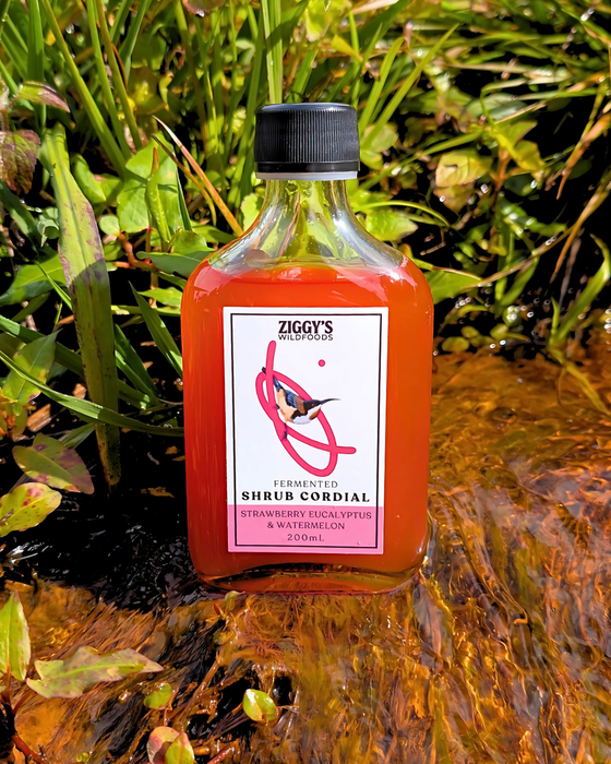 Ziggy's Wild Strawberry Gum & Watermelon Shrub