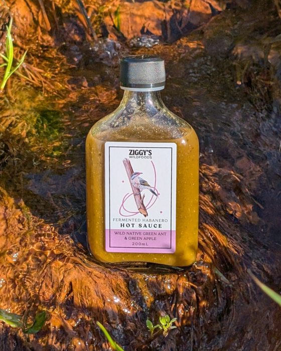 Wild Native Green Ant & Green Apple Hot Sauce