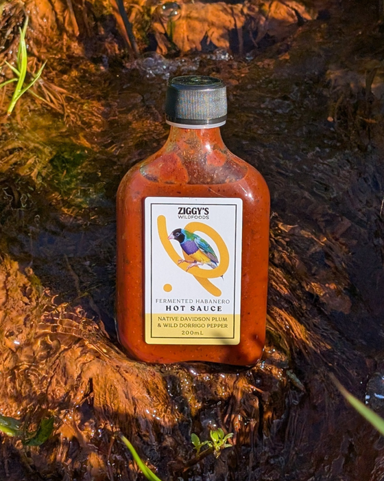Native Davidson Plum & Wild Dorrigo Pepper Hot Sauce