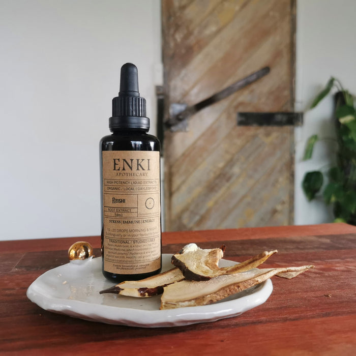 ENKI: High-Potency Reishi Extract