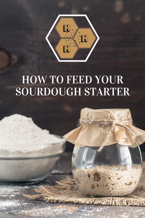 Sourdough Starter Feeding Guide